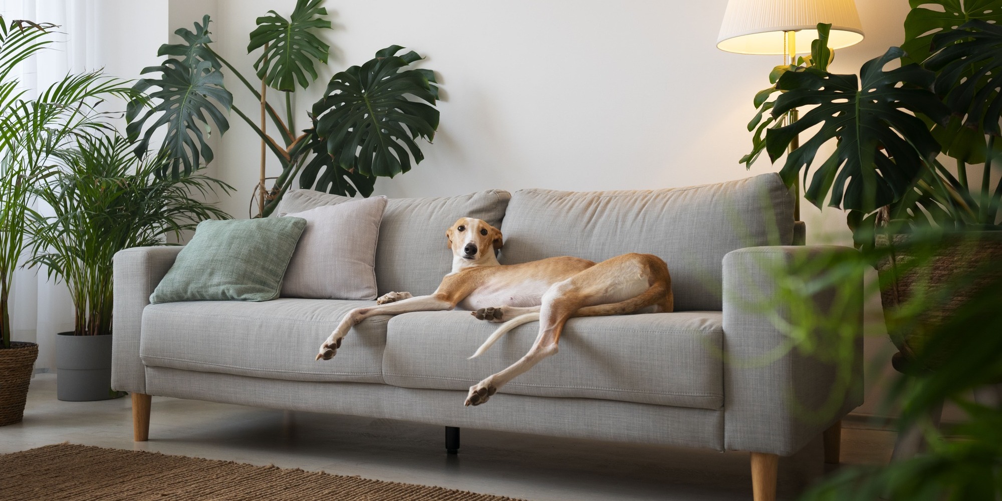 slider image slider_item_1